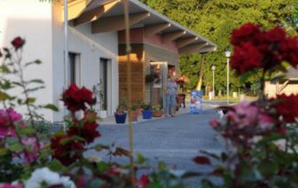 Camping Au Bord De L'Aisne Guignicourt Экстерьер фото
